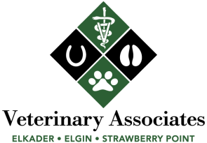 Veterinary Associates Clayton County