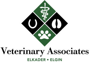 Veterinary Associates Clayton County